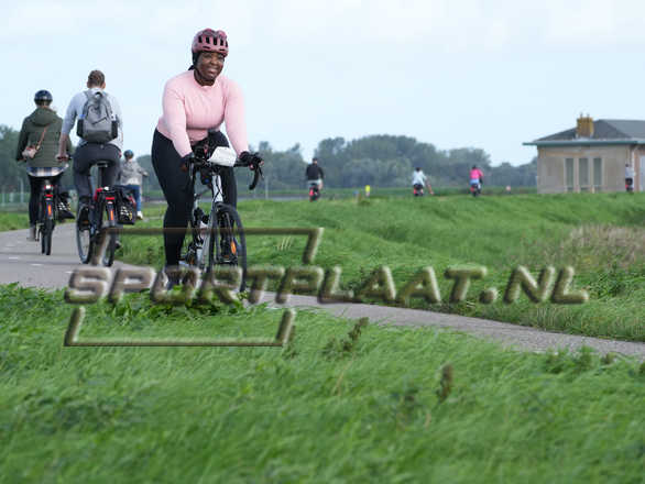 D1377.jpg